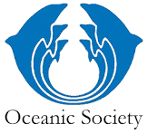 Development Partner 8