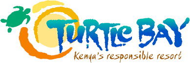 Development Partner 13